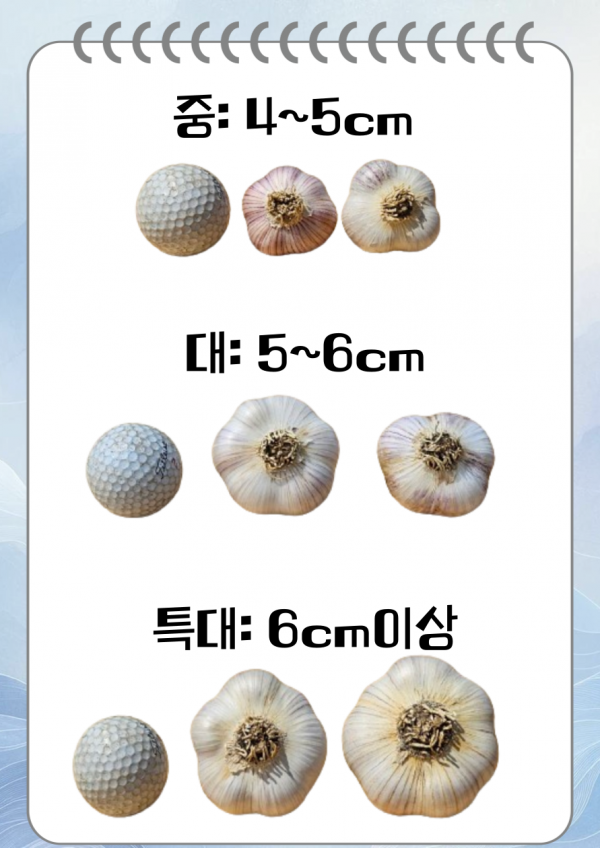 649fd5eb3b51eb59097eb1d8a1f941ce_1719109296_4116.png